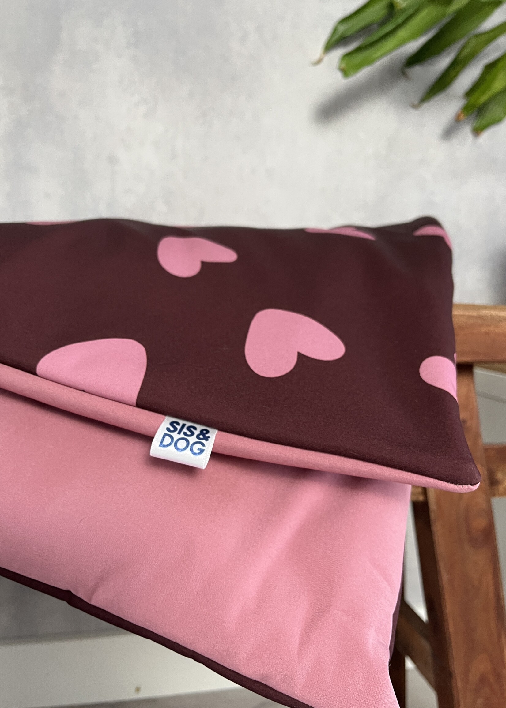Love me adventure hondenkleedje