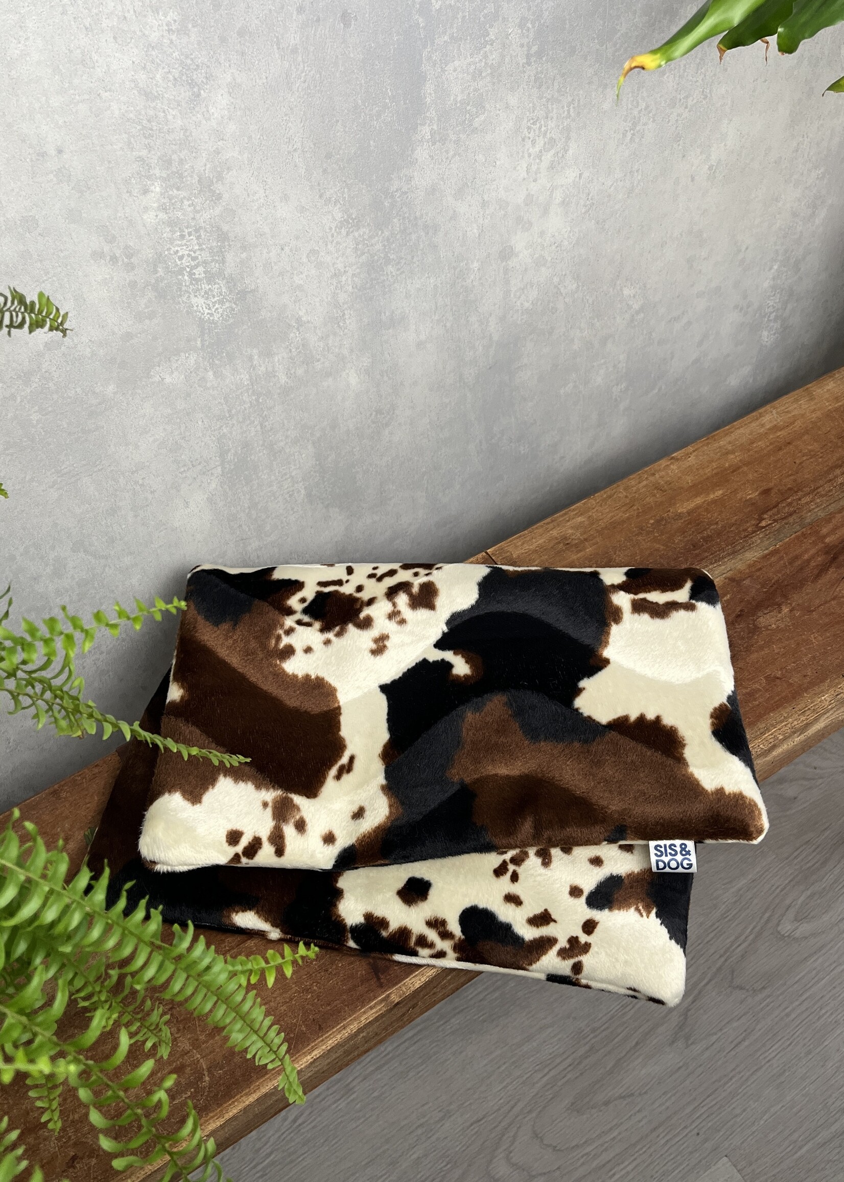 Holy Cow Pre-order honden  fietsmand kleed