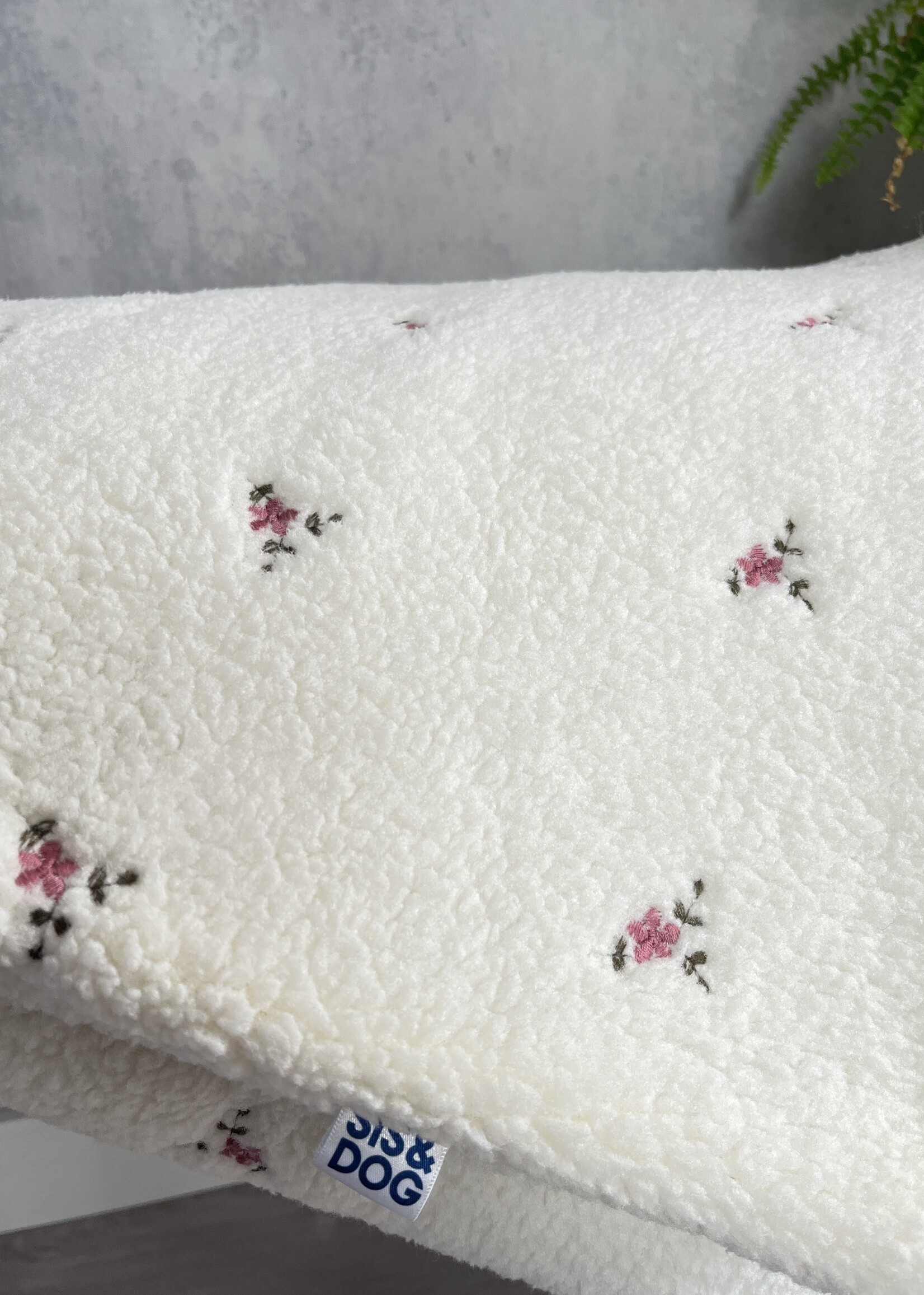 Bloom Creme Dog blanket