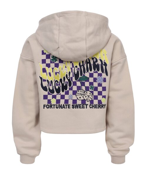 LOOXS 10sixteen Hoody Dust back print