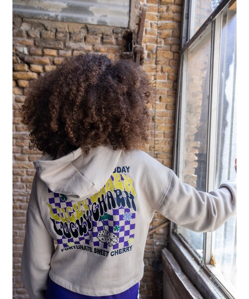 LOOXS 10sixteen Hoody Dust back print