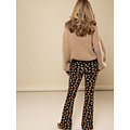 LXS the female concept LXS Velours flared pants Winter Flower Zwart