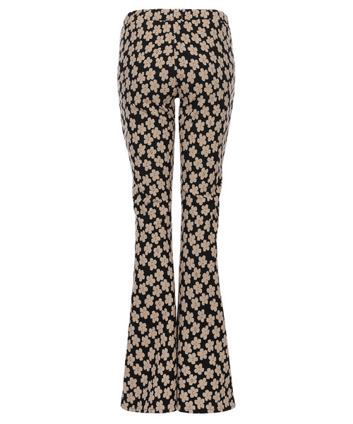 LXS the female concept .