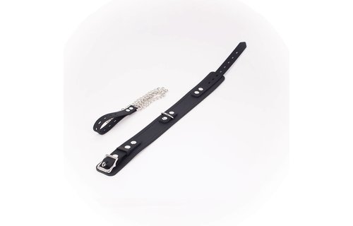 Deluxe Collar made of silky silicone with silver chain