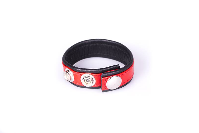 Regenbogen Leder CockStrap - Schwarz & Rot