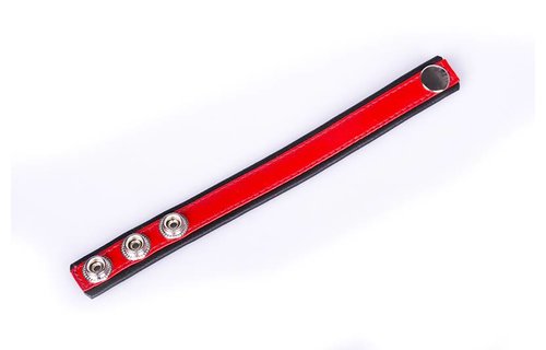Regenbogen Leder CockStrap - Schwarz & Rot