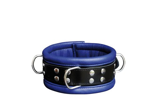 Leren Halsband 6,5 cm Blauw met Studs en D-Ring Veilig