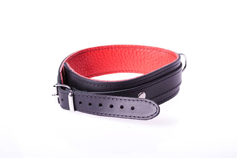 Halsband Basic - Rood