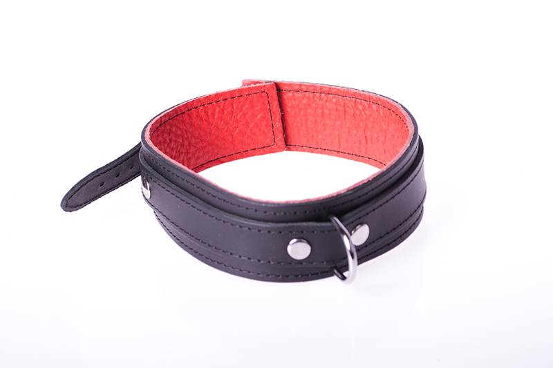 Basic Halsband Rot | Langlebiges Rindsleder mit D-Ring