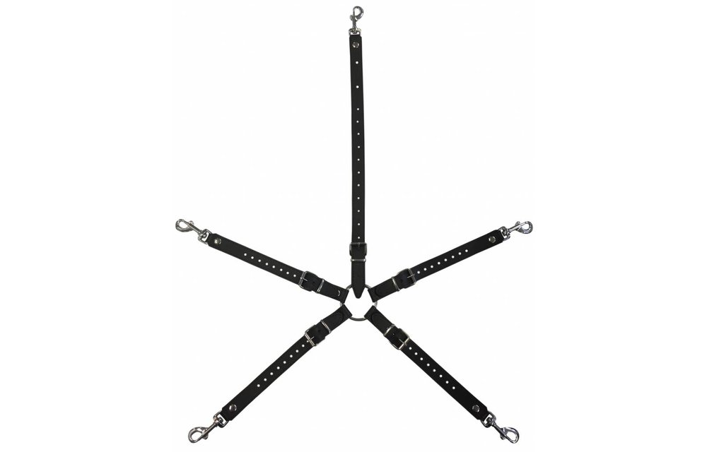 Universal Connection Strap with Adjustable Carabiner