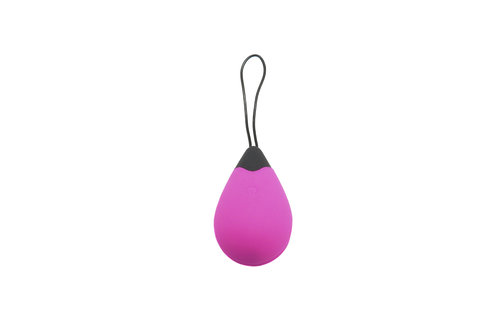 Rechargeable Pink Vibrating Egg with Remote Control - Waterproof