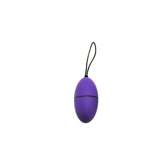 Remote Control Egg Purple | 10 Vibration Modes & Rechargeable