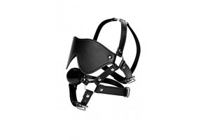 Blindfold Harness and Ball Gag