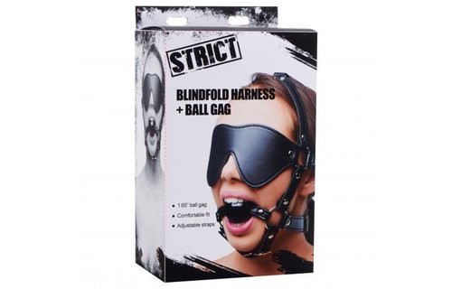 Blindfold Harness and Ball Gag