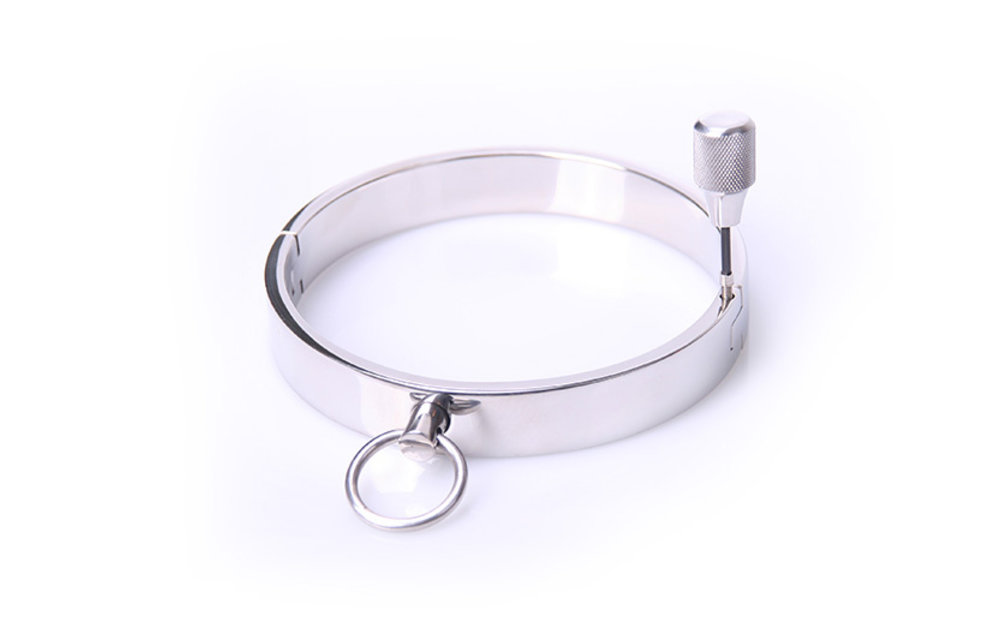 Stalen Halsband Groot | Hoogwaardig RVS & O-Ring Collar