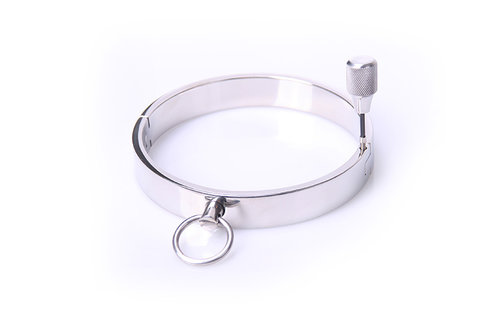 Stahlhalsband - groß