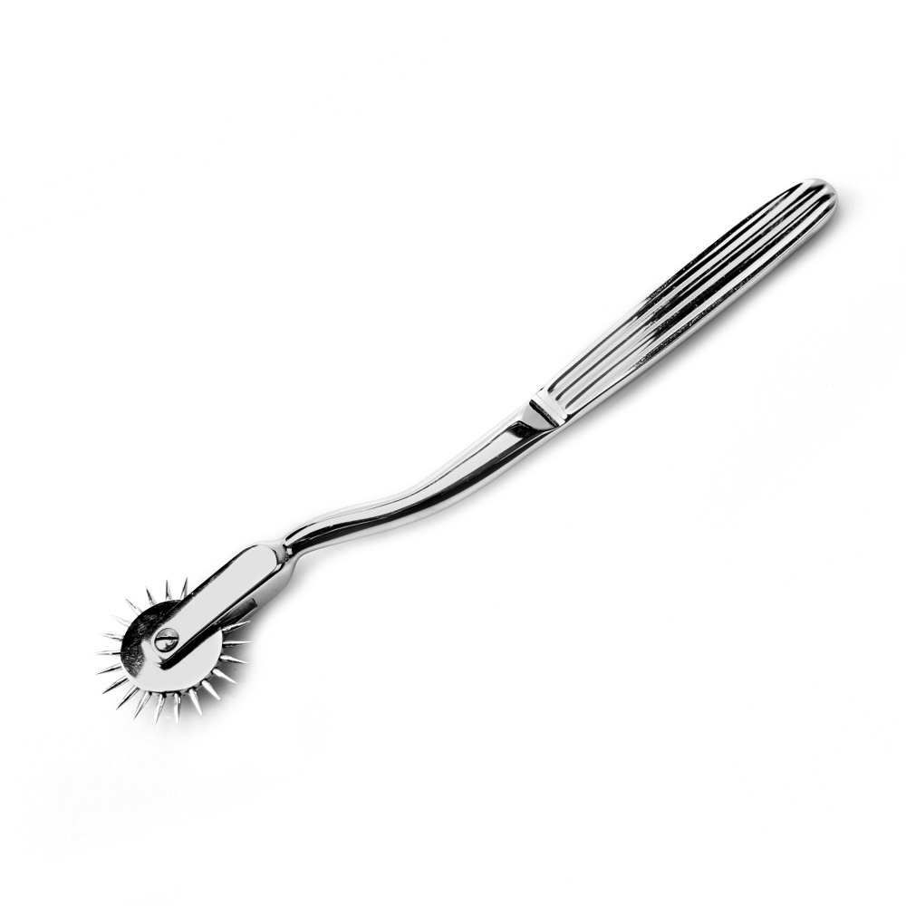 Edelstahl-Pinwheel für Schmerz und Lust – 17 cm