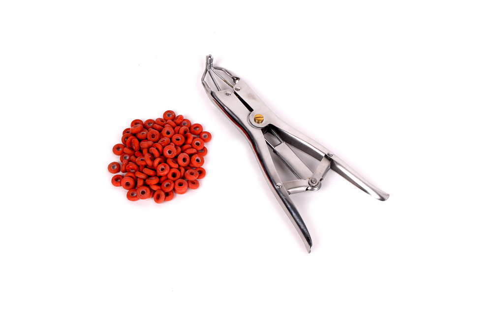 Tit Torture Clamps + 100 Rings | Nipple Play Accessories