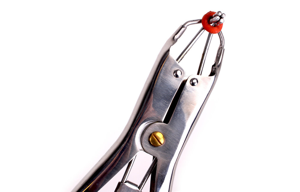 Tit Torture Clamps + 100 Rings | Nipple Play Accessories