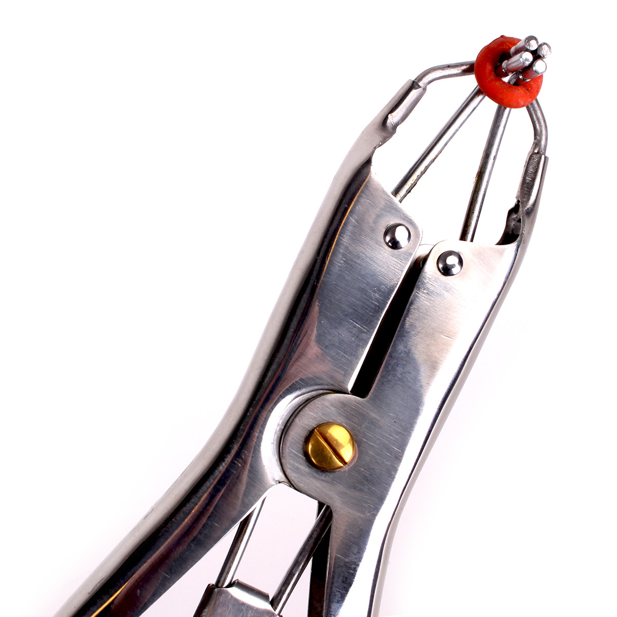 Tit Folterzange (mit 100er Packung)