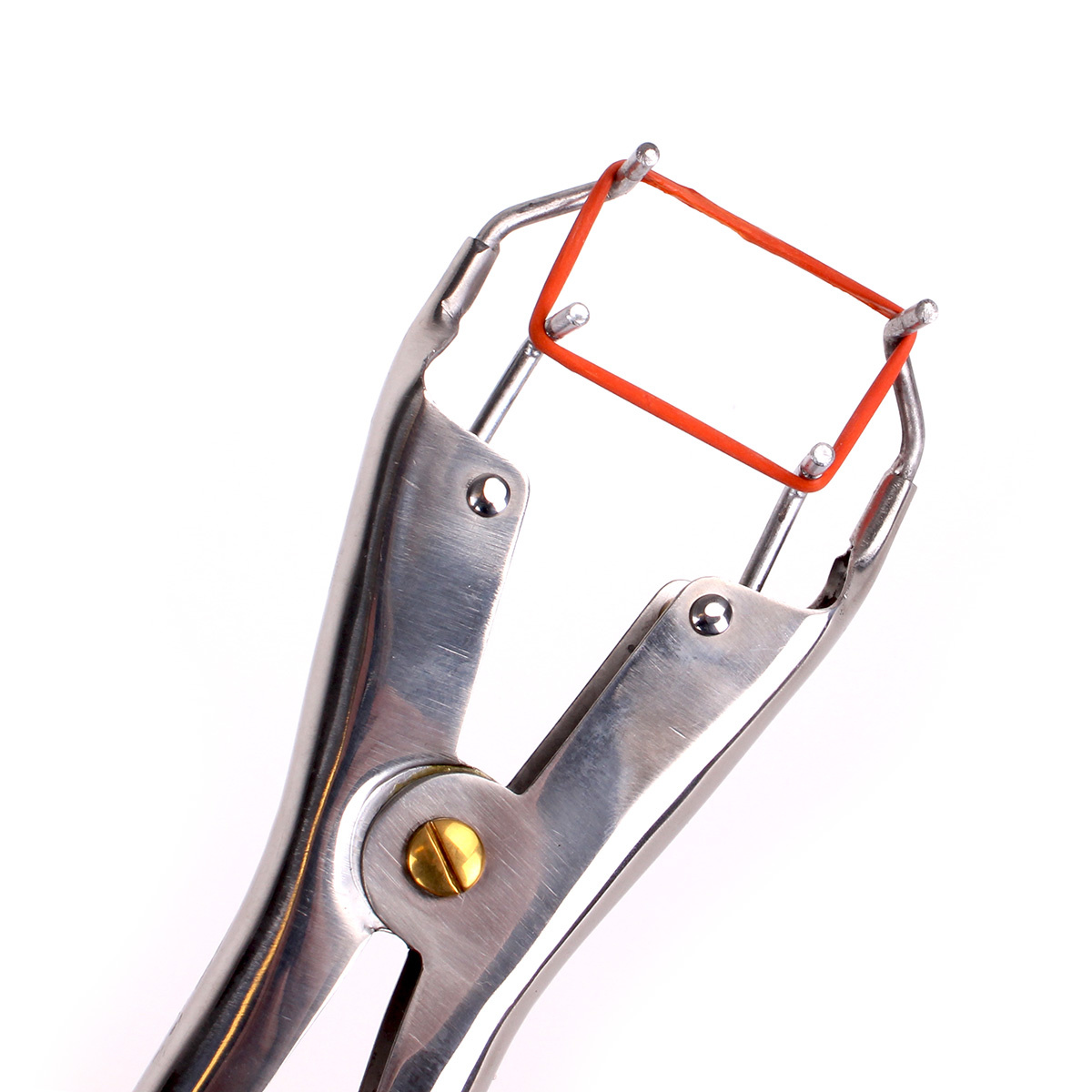 Tit Torture Pliers (with 100 rings pack)