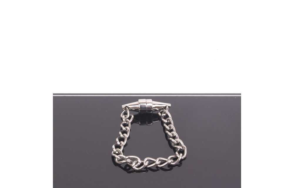 Magnetic Nipple Pinchers with polished chain