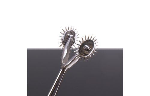 DUO Pinwheel – Intense pleasure for beginners and advanced users