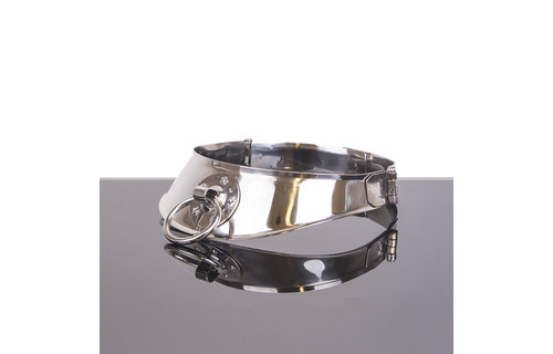 VergrendelingsHalsband met ring 12cm