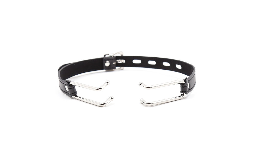Mouth Gag met haken