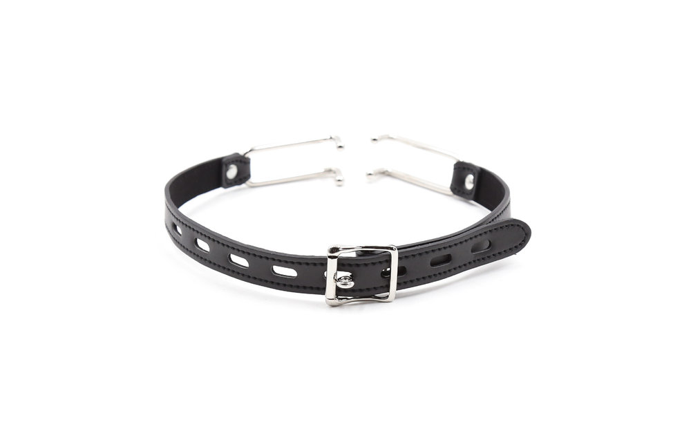 Mouth Gag met haken
