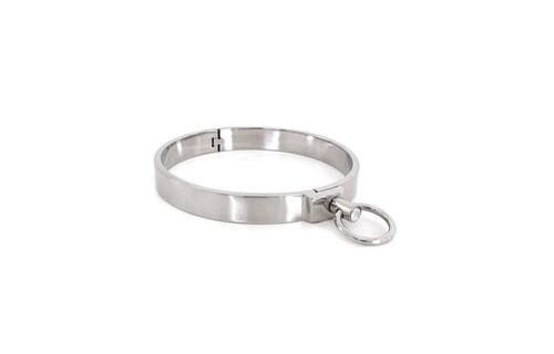 Stalen Halsband Massief (L)