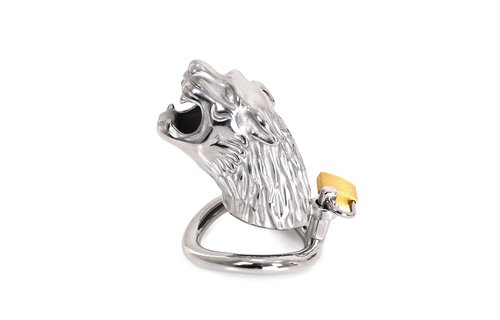 Kuisheidskooi De Leeuw – Sterke Metalen Cockring 45mm