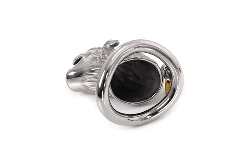 Chastity Cage The Lion – Strong Metal Cock Ring 45 mm