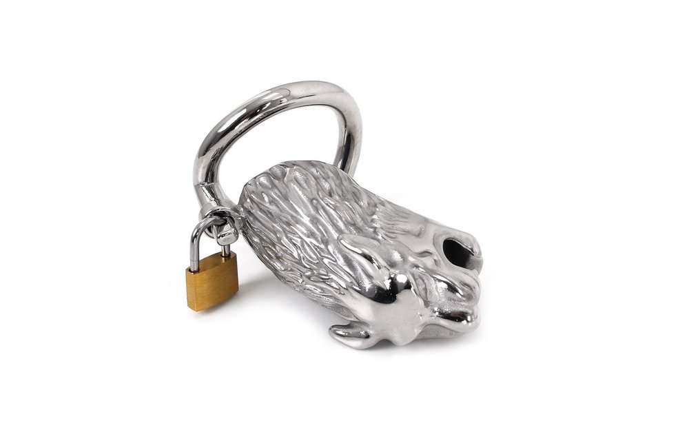 Kuisheidskooi De Leeuw – Sterke Metalen Cockring 45mm