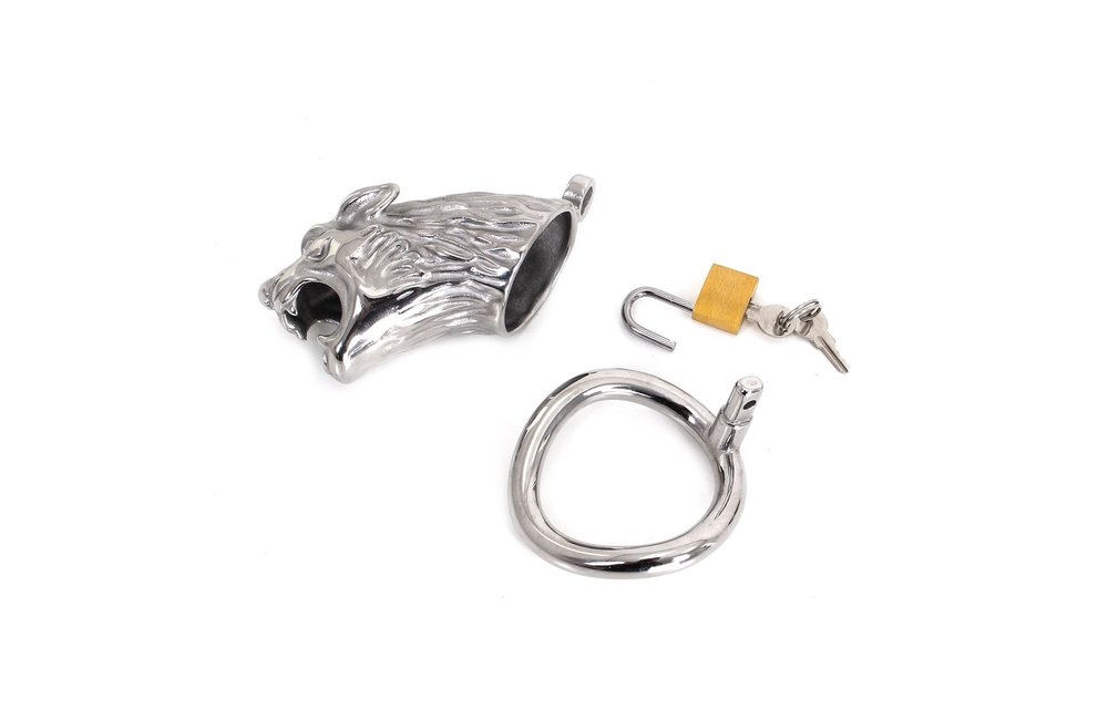 Chastity Cage The Lion – Strong Metal Cock Ring 45 mm
