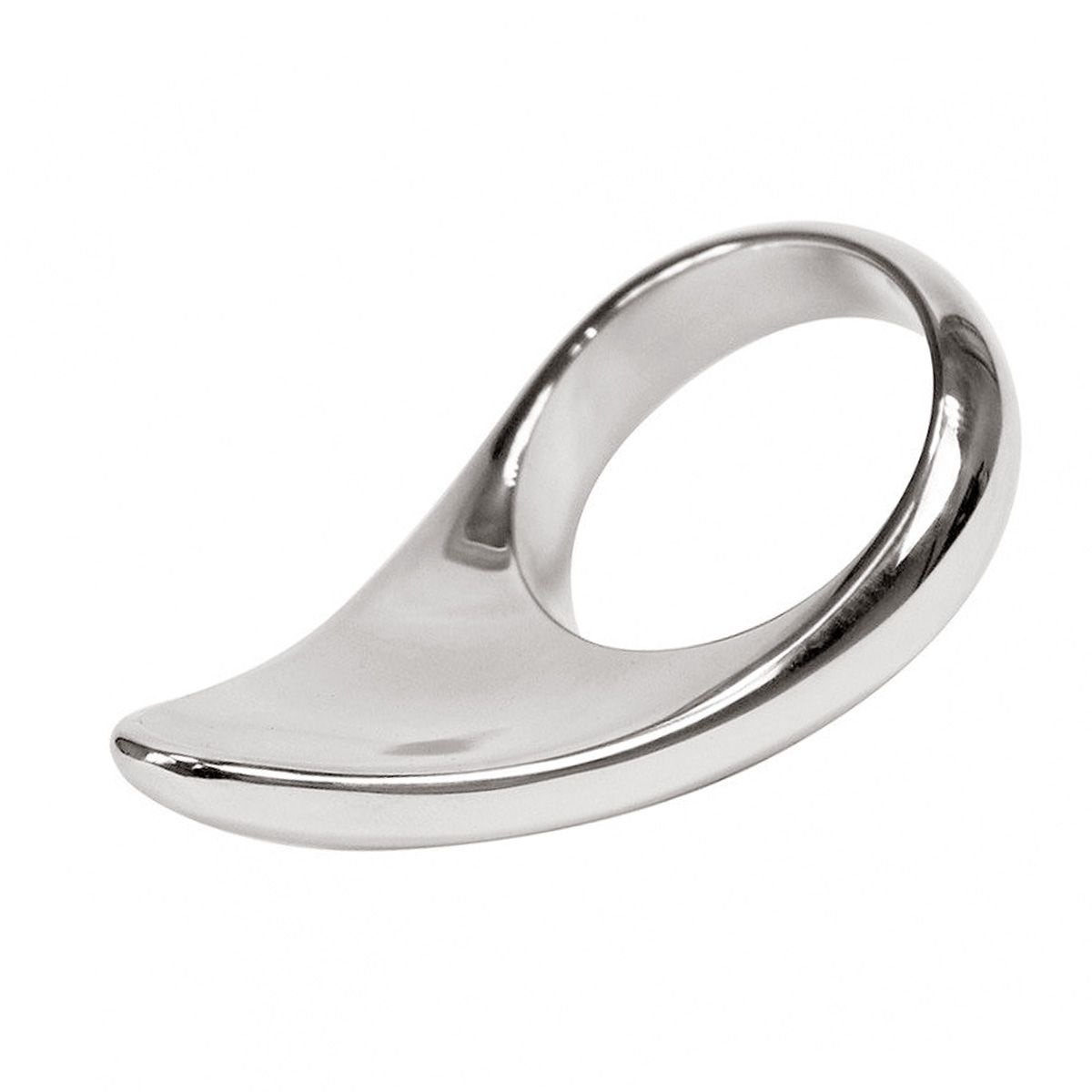 Steel Cockring & Prostate Massager