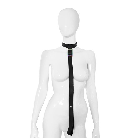 Leather Collar with Leash Rainbow