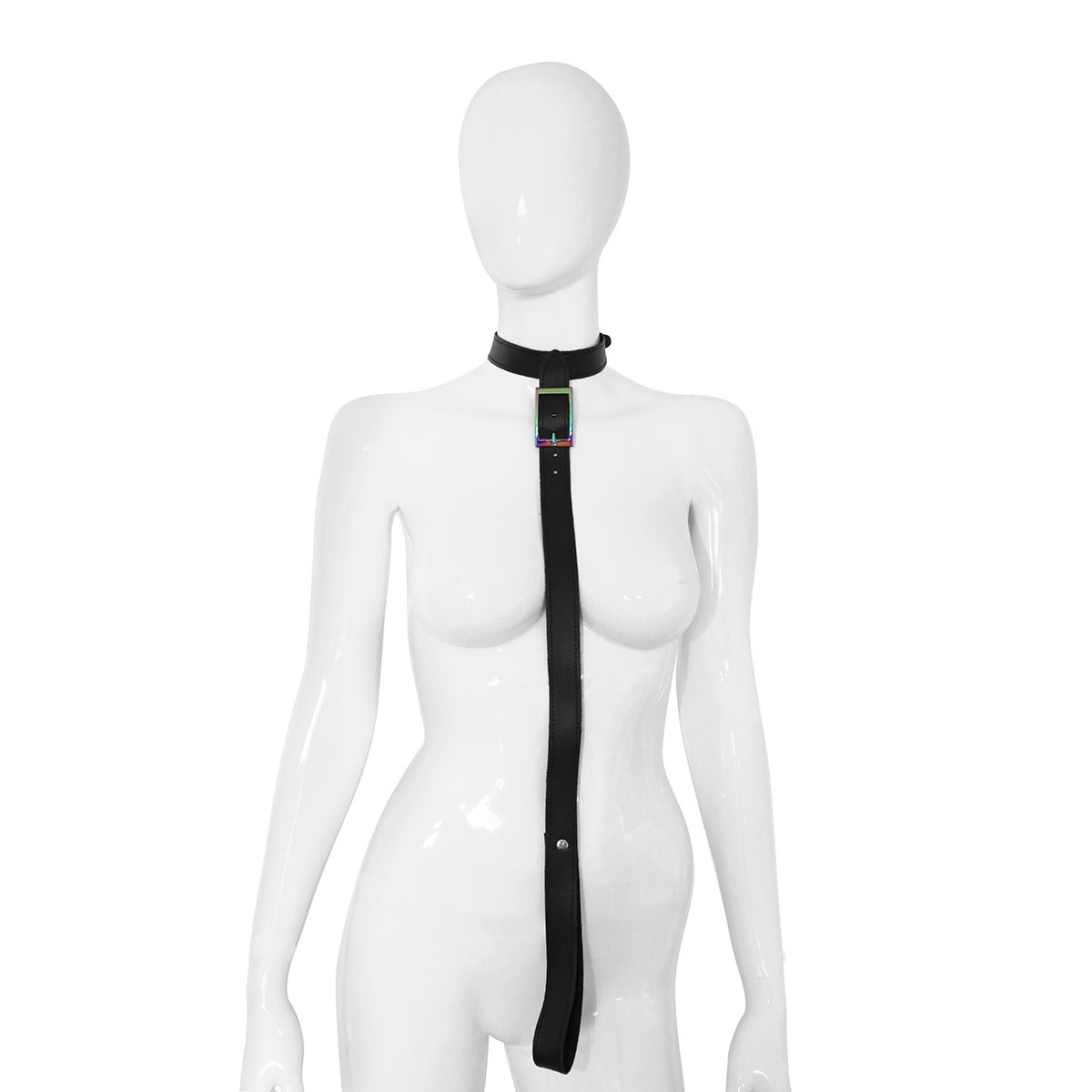 Leather Collar with Leash Rainbow