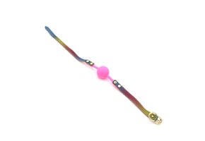 Ball Gag Regenbogen