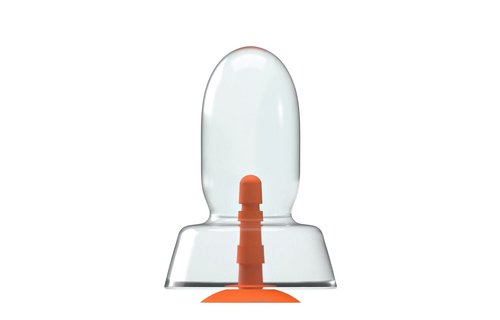 Dildo Dinoo Primal - Bracho  27.5 x 11.5 cm