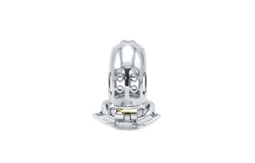 Chastity Device with Belt and Ball Divider