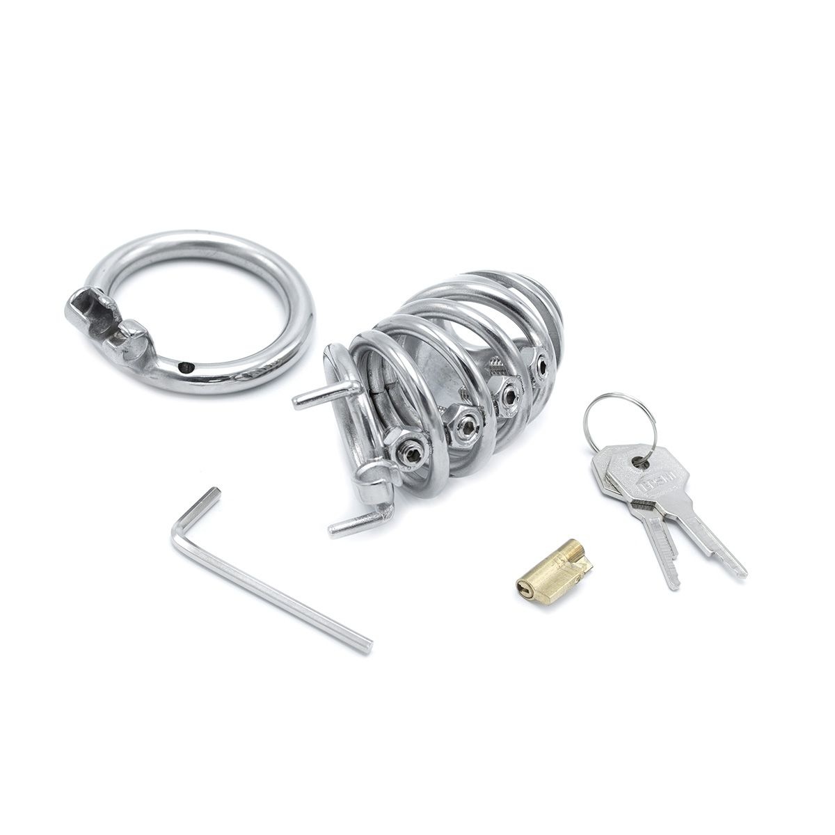 Chastity Device Modern Torture