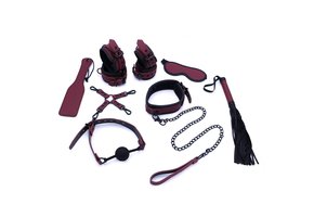 Luxuriöses Bondage Set mit Koffer