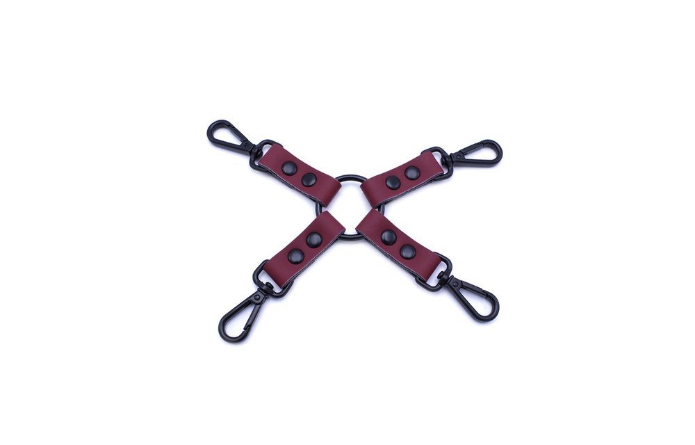 Luxurious Bordeaux Red Bondage Set with Complete BDSM Case