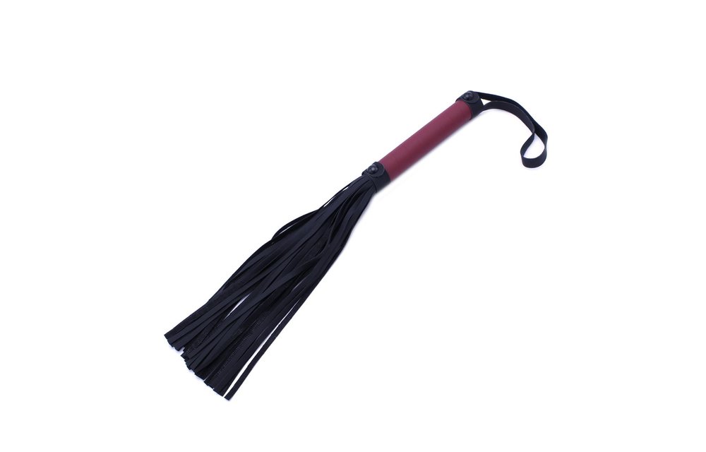 Luxuriöses bordeauxrotes Bondage-Set mit komplettem BDSM-Koffer