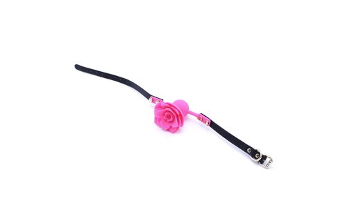 Gag mit Rose Silikon