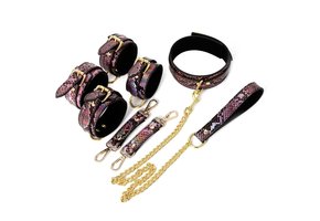 BDSM Set Gold Reptile Print Vegan PVC Leather Neon Pink