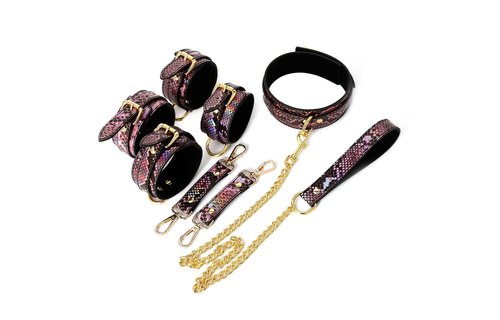 BDSM-Set Gold Reptilienprint Vegan PVC Leder Neon Pink