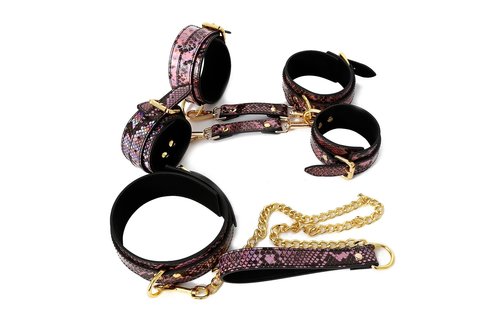 BDSM Set Reptielen Print Goud