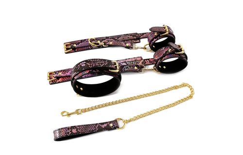 BDSM Set Gold Reptile Print Vegan PVC Leather Neon Pink